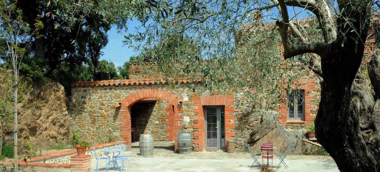 玛斯白鸽酒店(Le Mas des Colombes Chambres d'hôtes B&B & Spa)图片