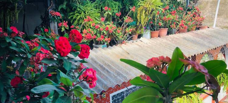 玛杰尼酒店(Hotel Marjenny)图片