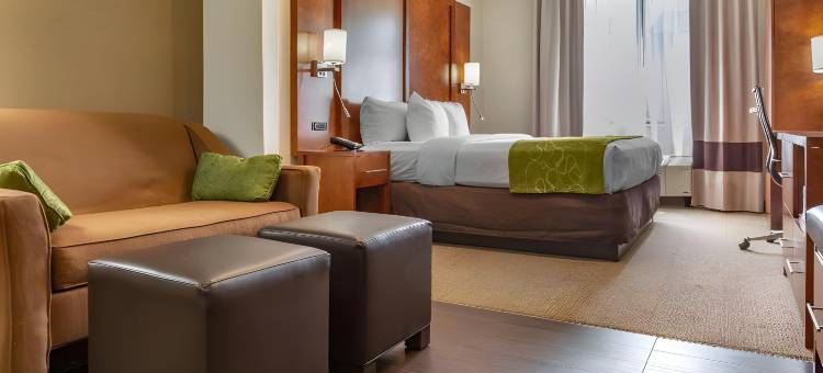 康福特套房多佛大学区(Comfort Suites Dover University Area)图片