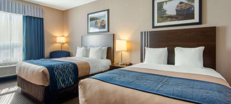 舒适套房酒店(Comfort Inn & Suites)图片