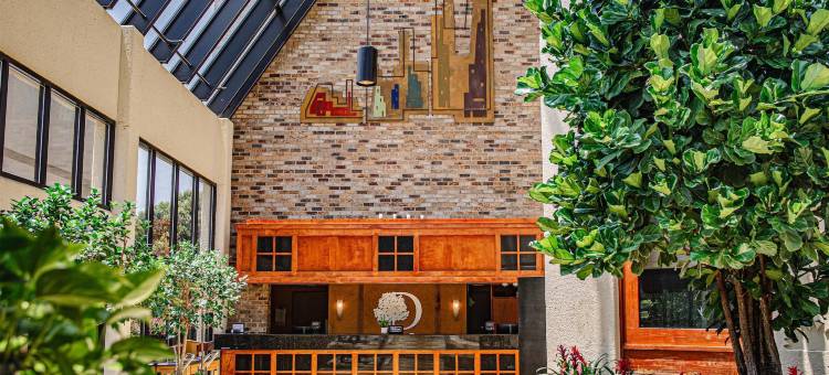 橡树岭希尔顿逸林酒店(DoubleTree by Hilton Hotel Oak Ridge-Knoxville)图片