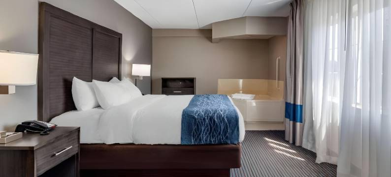 舒适酒店(Comfort Inn)图片