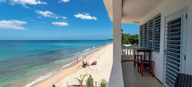 椰子棕榈树旅馆(Coconut Palms Inn)图片