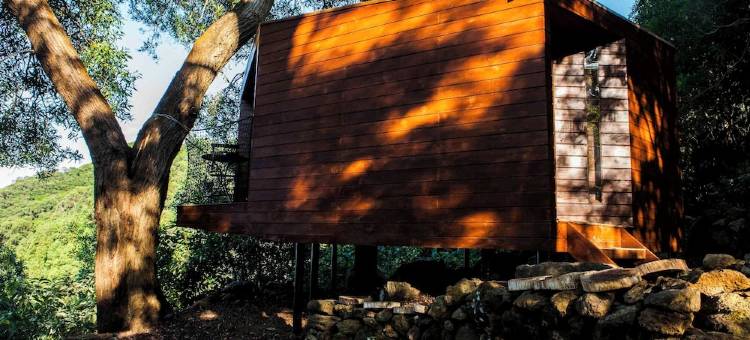 卡帕里卡阿佐雷斯生态小屋旅馆(Caparica Azores Ecolodge)图片