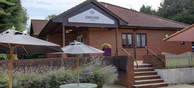 Orchid Epsom, Sure Hotel Collection by Best Western图片