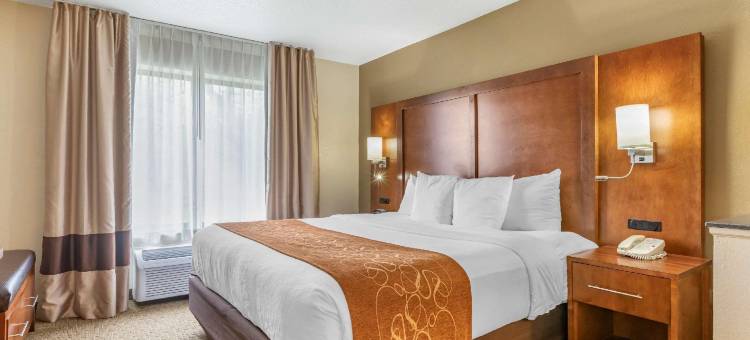 舒适套房酒店-大急流城北(Comfort Suites Grand Rapids North)图片