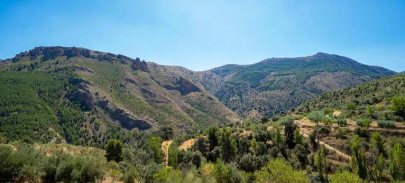 Holiday Home in Laroya with Pool & BBQ图片