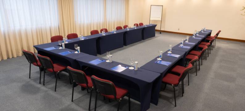 蓝树塔南卡希亚斯酒店(Blue Tree Towers Caxias do Sul)图片