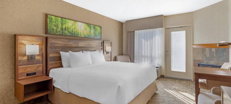 瓦尔蒙特贝斯特韦斯特优质套房酒店(Best Western Plus Valemount Inn  Suites)图片