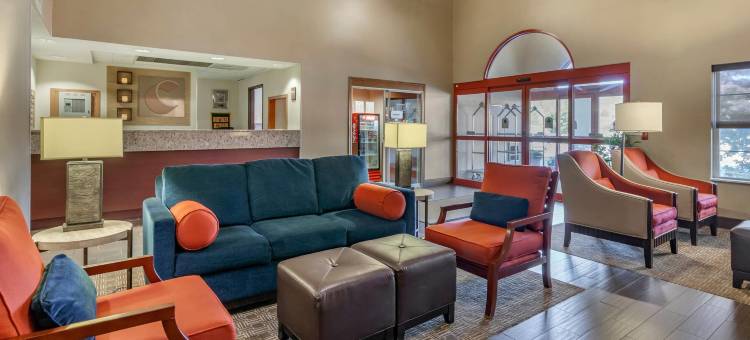 舒适套房酒店(Comfort Suites)图片