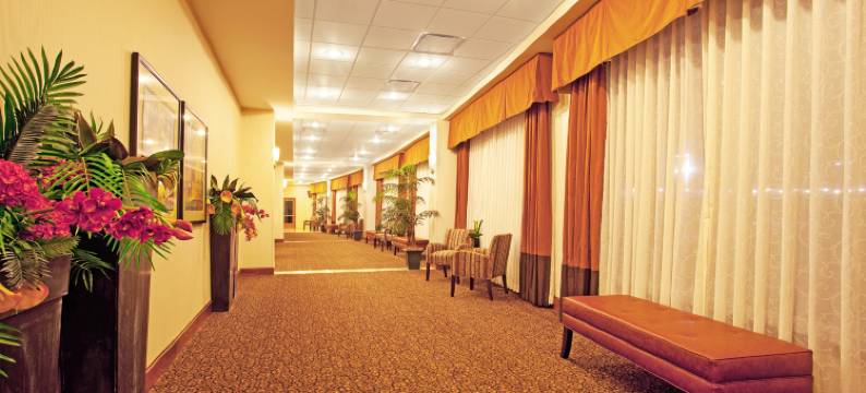 巴特尔克里克假日酒店(Holiday Inn BATTLE CREEK by IHG)图片