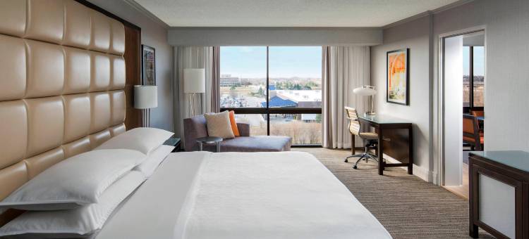 西德梅茵喜来登酒店(Sheraton West des Moines Hotel)图片