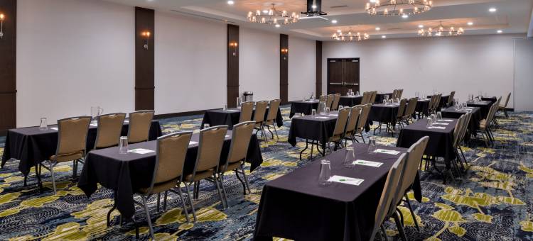 法明顿希尔斯-底特律西北假日酒店(Holiday Inn & Suites Farmington Hills - Detroit NW)图片