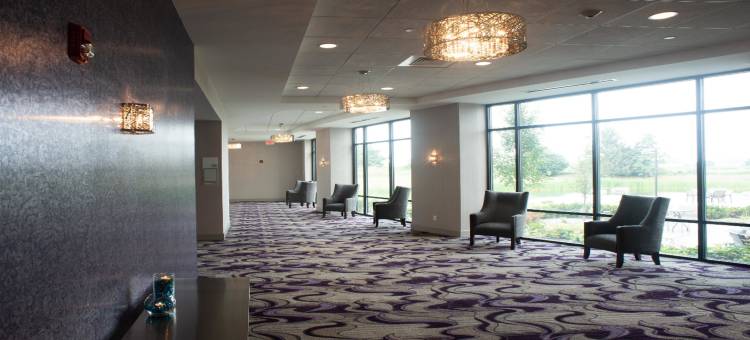 假日套房酒店-乔利埃特西南(Holiday Inn & Suites Joliet Southwest)图片