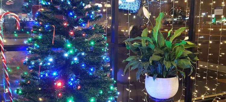 波因特索斯贝斯特韦斯特酒店(Best Western Point South)图片