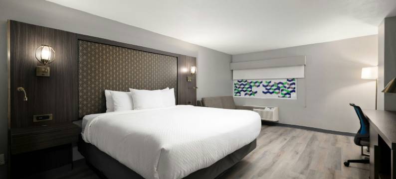 麦卡伦维尔塔酒店(Verta Hotel McAllen)图片