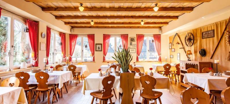 达门亨克旅馆酒店(Dammschenke Gasthof & Hotel)图片