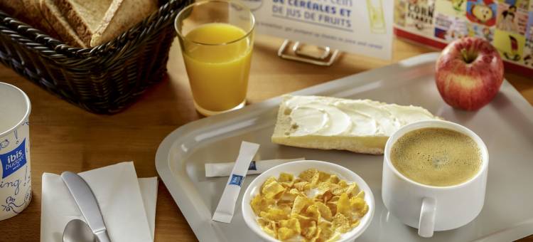 宜必思快捷贝济耶中心酒店(Ibis Budget Béziers Centre Palais Congres)图片