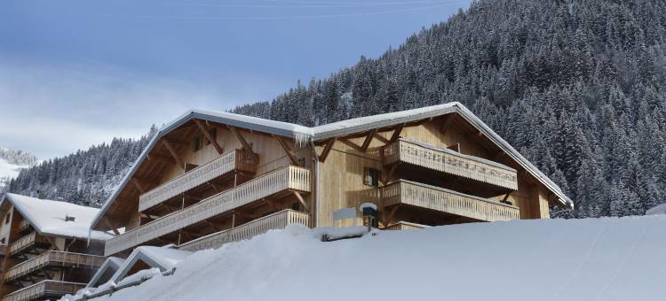 格兰德艾尔米塔什尼米亚酒店(Résidence Goélia le Grand Ermitage)图片