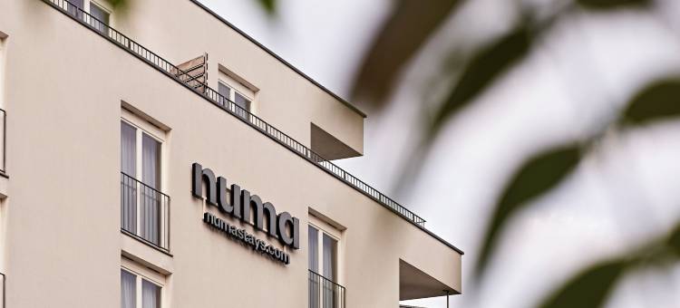 Numa Berlin Boxer图片