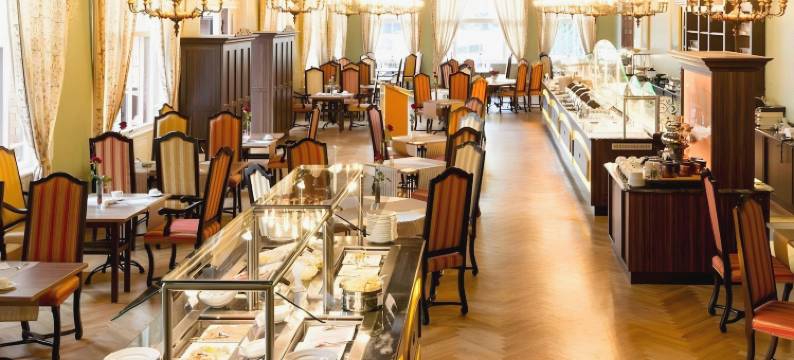 马格德堡多林特黑勒克鲁阁公园酒店(Dorint Herrenkrug Parkhotel Magdeburg)图片