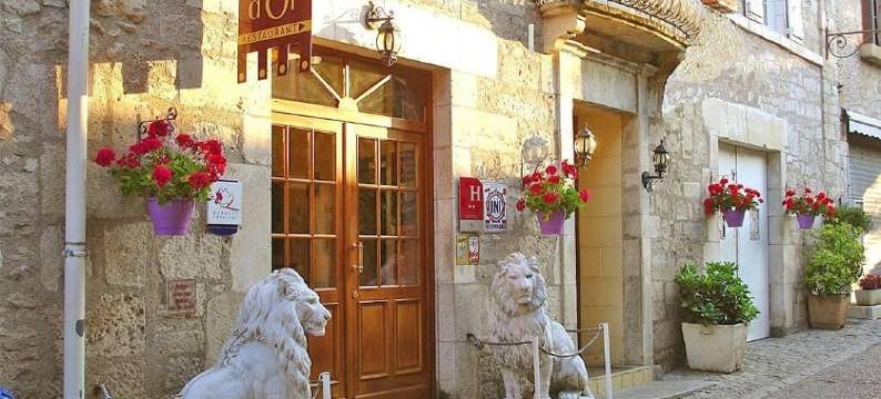 利昂多尔酒店(Hotel du Lion d'Or)图片