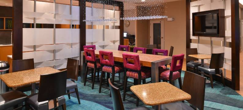 沃里斯芒特劳雷尔/樱桃山万豪SpringHill Suites 酒店(SpringHill Suites Voorhees Mt. Laurel/Cherry Hill)图片