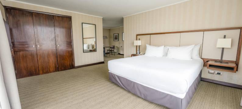 圣地亚哥阿巴总统套房酒店(Abba Presidente Suites Santiago)图片