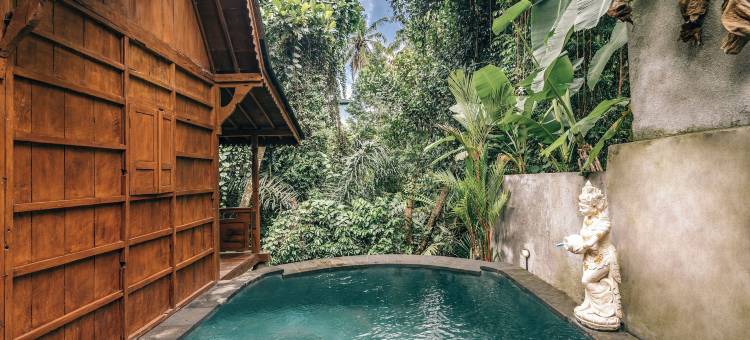 乌布梦幻别墅 - 佩图鲁(Ubud Dream Villas)图片