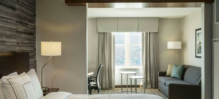 沃特伯里斯托万枫酒店及套房(Fairfield Inn & Suites Waterbury Stowe)图片