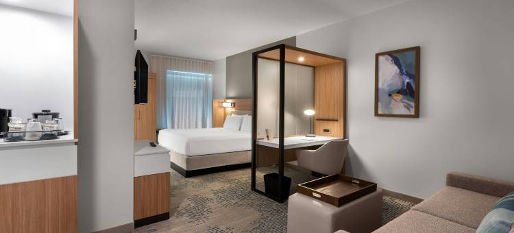 西墨尔本棕榈湾SpringHill Suites套房酒店(SpringHill Suites West Melbourne Palm Bay)图片