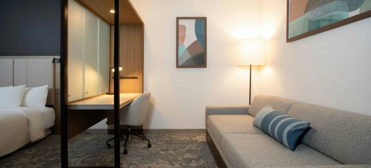 里士满机场SpringHill Suites酒店(SpringHill Suites by Marriott Richmond Airport)图片
