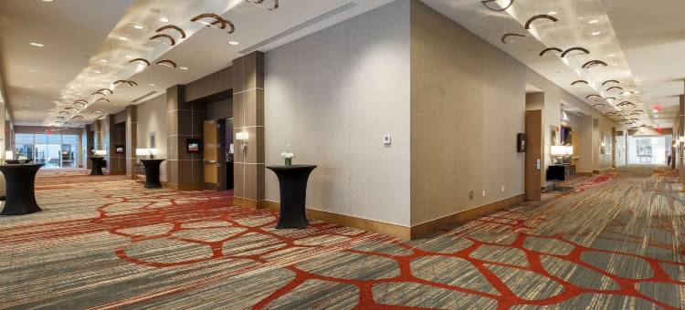 埃文斯维尔希尔顿逸林酒店(DoubleTree by Hilton Evansville)图片