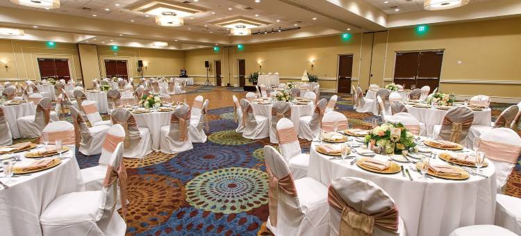 坦帕西岸-机场区假日酒店(Holiday Inn Tampa Westshore - Airport Area)图片