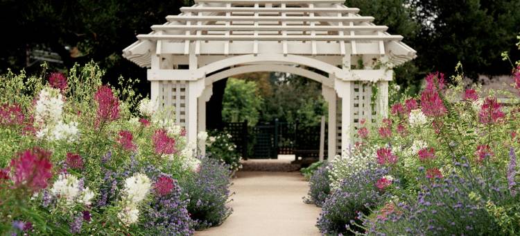 帕洛阿尔托Homewood Suites by Hilton(Homewood Suites by Hilton Palo Alto)图片