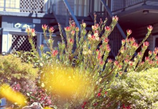 The Sands Holiday Apartments Hotel Overview