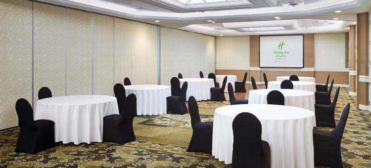 奥克维尔布朗特假日酒店及套房(Holiday Inn & Suites OAKVILLE @ BRONTE by IHG)图片