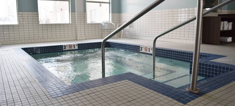 Holiday Inn Express 金(Holiday Inn Express Golden-Kicking Horse)图片