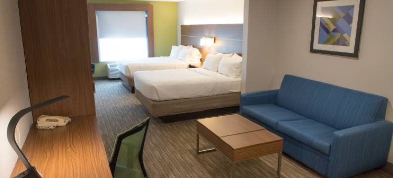 智选假日套房酒店埃尔克哈特 - 南 by IHG(Holiday Inn Express & Suites Elkhart-South by IHG)图片