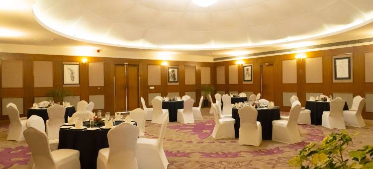 Radisson个人会员 - Classic Grande Imphal(Classic Grande,a Member of Radisson)图片