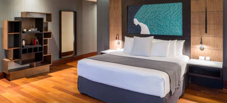 瓜达拉哈拉普罗维登西亚NH典藏酒店(NH Collection Guadalajara Providencia)图片