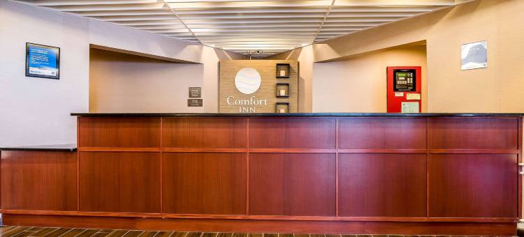 舒适酒店(Comfort Inn)图片