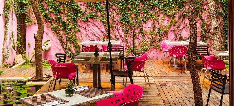 梅尼达玫瑰与巧克力酒店 - 设计酒店会员(Rosas & Xocolate Boutique Hotel and Spa Merida, a Member of Design Hotels)图片