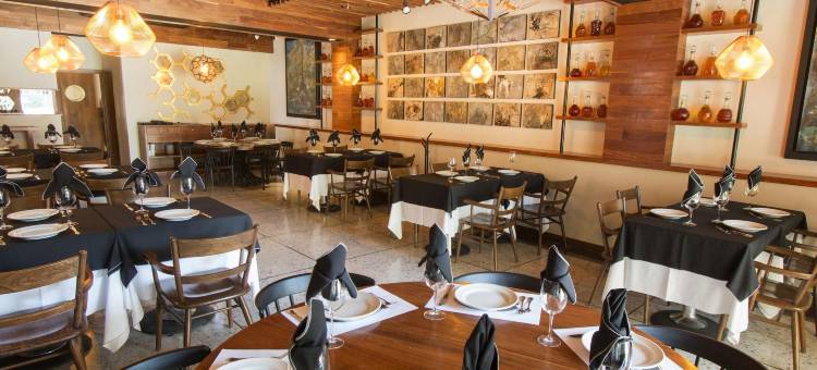 里奥特基斯基亚潘酒店(Hotel Rio Tequisquiapan)图片