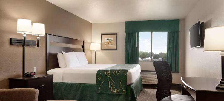 惠灵顿呗盟套房酒店(Baymont by Wyndham Wellington)图片