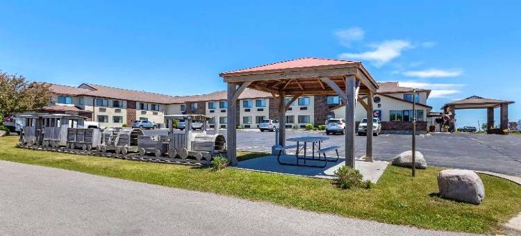 舒适酒店(Comfort Inn)图片