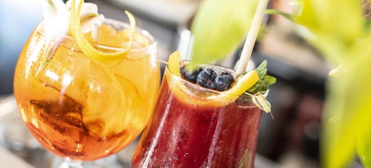 阿里卡诺富特酒店(Novotel Arica)图片