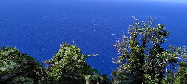 芙蓉谷酒店(Hibiscus Valley Inn)图片