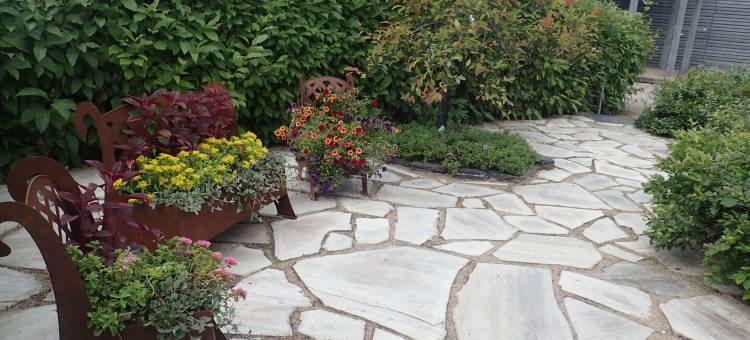 米科利苏可酒店(Original Sokos Hotel Vaakuna Mikkeli)图片