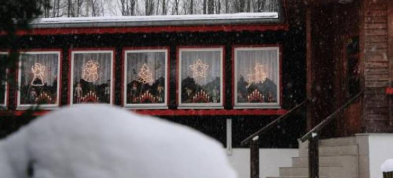 瓦德斯西斯布森科普公寓酒店(Hotel Waldoase Hirschbüchenkopf)图片